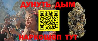 mdpv Гатчина