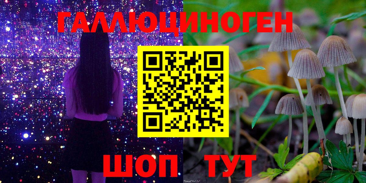 Псилоцибиновые грибы Cubensis Чехов