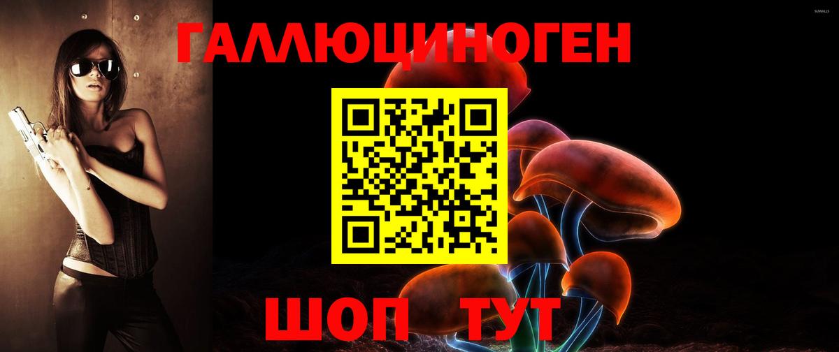 Галлюциногенные грибы Psilocybe  Псилоцибиновые грибы мицелий  Вход с VPN  Чехов 